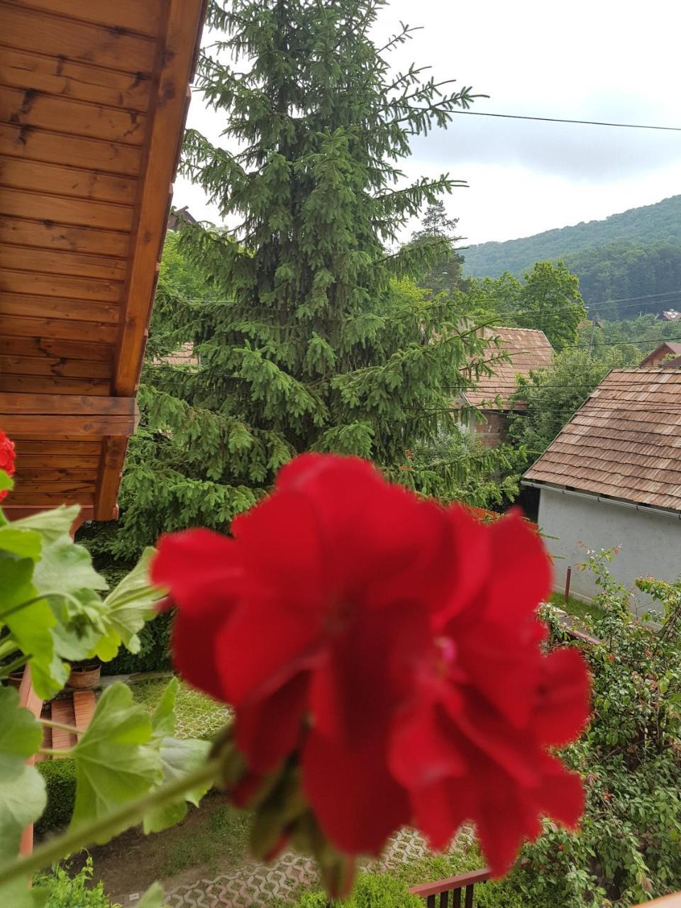 Pensiunea Lőrincz *** Panzió Sovata Exterior foto