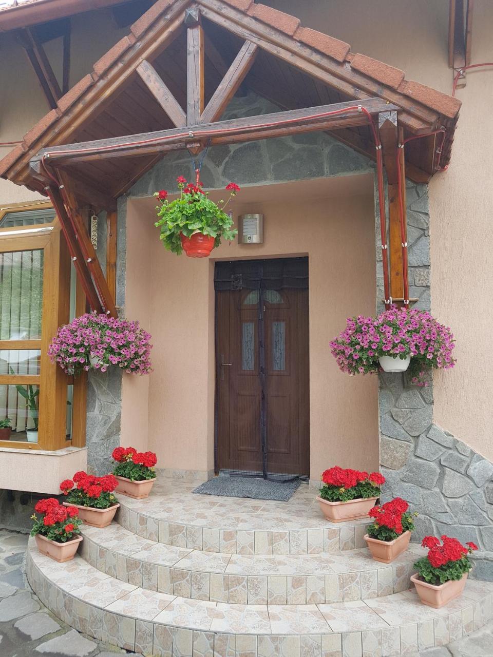 Pensiunea Lőrincz *** Panzió Sovata Exterior foto